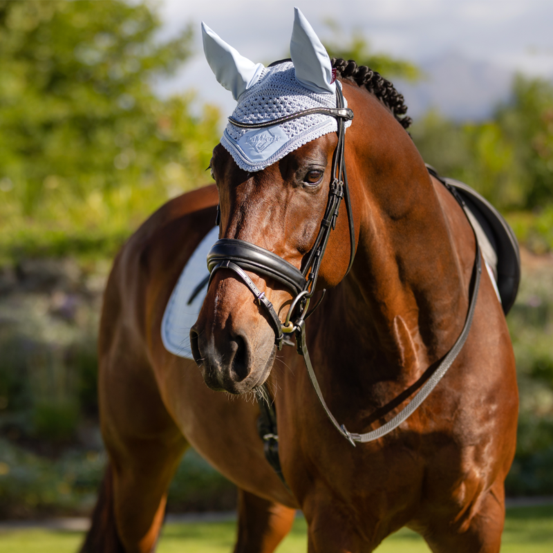 LeMieux Classic Fly Hood - Mist-1